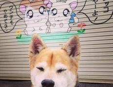 世俱杯-若日尼奥，当节拍器成为叹息之墙，挪威用团队交响曲奏响胜利