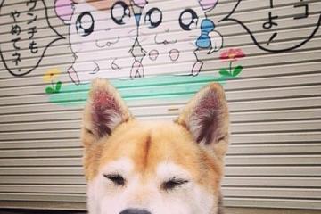 世俱杯-若日尼奥，当节拍器成为叹息之墙，挪威用团队交响曲奏响胜利