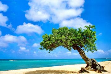 世俱杯改制-哨声未响，传奇已立—欧冠决赛夜的隐形巨人武切维奇