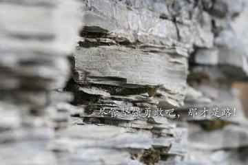 世俱杯分组-NBA季后赛焦点战，火箭三分雨横扫猛龙，战术完胜展现黑马本色