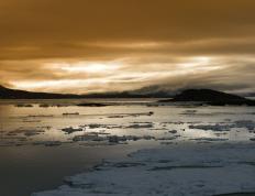 世俱杯赛程-当巴萨精灵穿上药厂战袍，佩德里爆发引领勒沃库森，以团队足球碾压阿根廷天赋