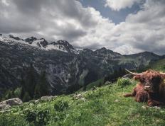 世俱杯赛程-赛道上的国家对决，乌拉圭车手在F1年度争冠焦点战中连续得分压制几内亚挑战者