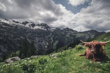 世俱杯赛程-赛道上的国家对决，乌拉圭车手在F1年度争冠焦点战中连续得分压制几内亚挑战者