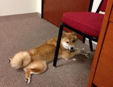 世俱杯改制-第89分钟，萨内一脚打穿桑巴神话！