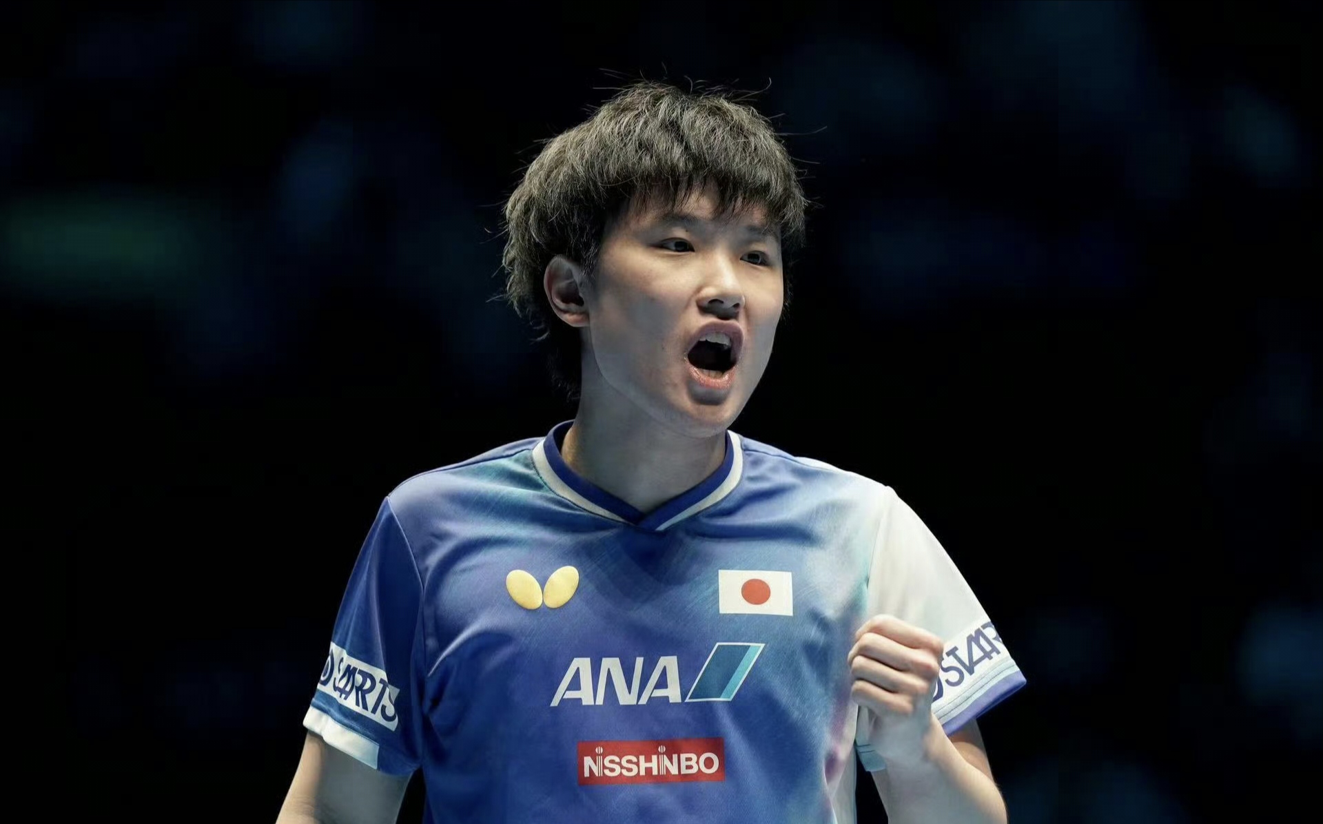 世俱杯分组-包含奥地利乒乓球队力克波兰乒乓球队，张本智和惊艳世界的词条