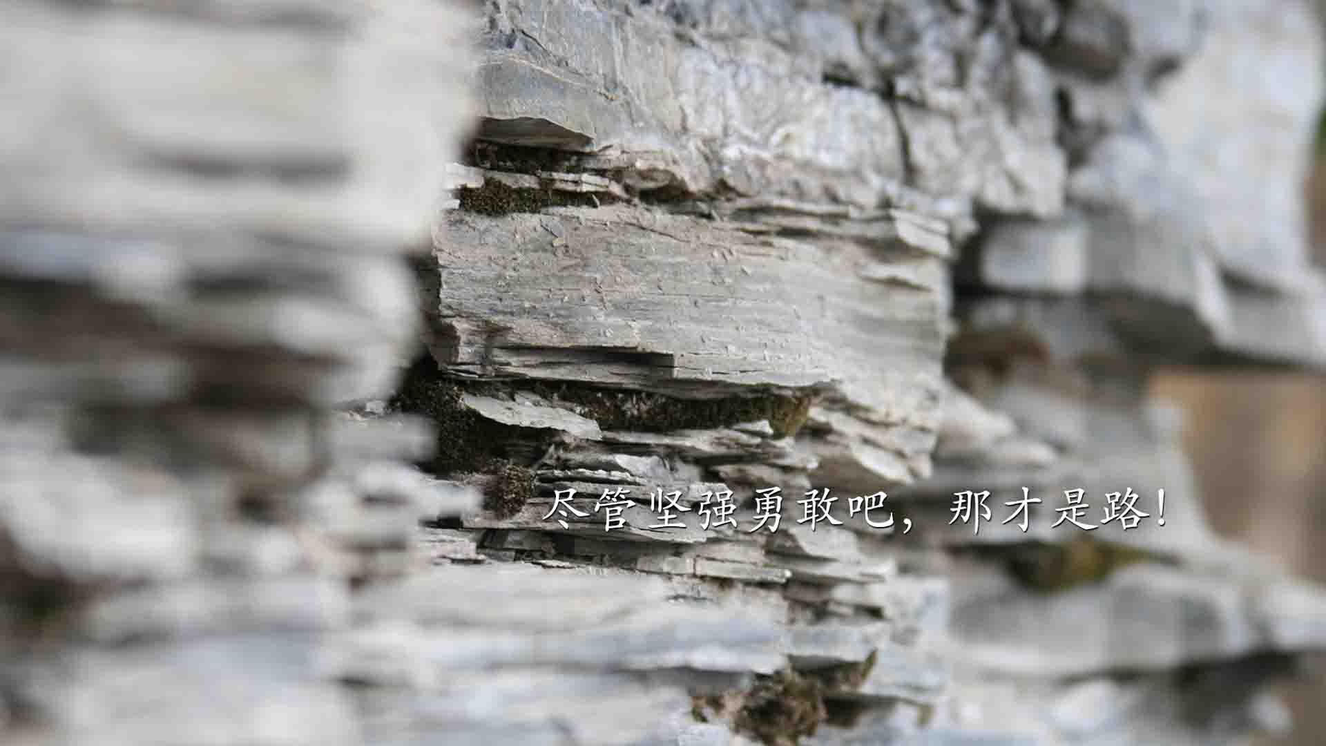 世俱杯分组-NBA季后赛焦点战,火箭三分雨横扫猛龙,战术完胜展现黑马本色