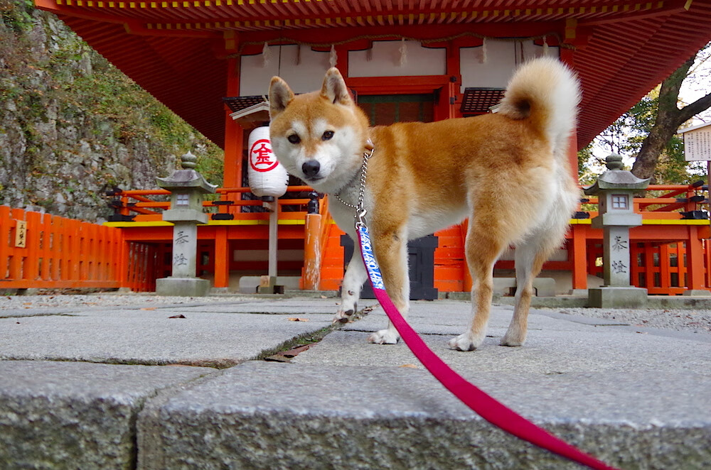 世俱杯2025-一舞定乾坤，欧冠决赛之夜，穆勒于无声处听惊雷