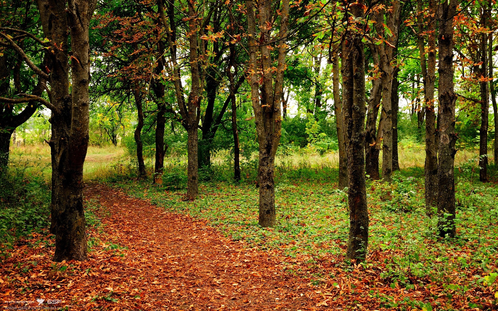 世俱杯-血战西决！雄鹿绝命三分击碎骑士宿命