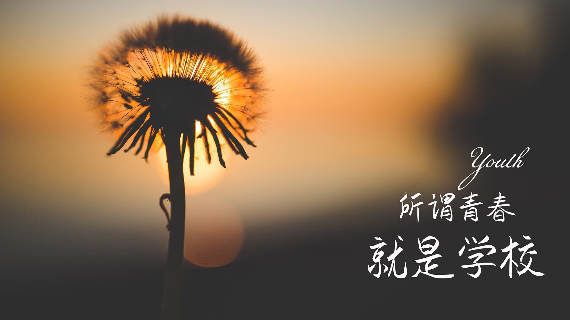 世俱杯决赛-2026世界杯C组强强对话，加纳横扫捷克，C罗闪耀全场，葡萄牙豪门暗藏危机？