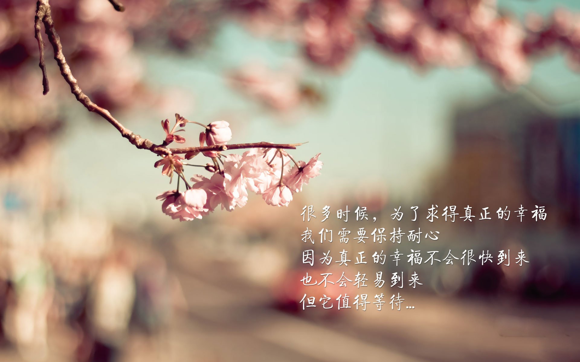 世俱杯改制-铁壁铜墙，库尔图瓦封神之夜，2026世界杯H组西班牙对阵波兰生死战纪实